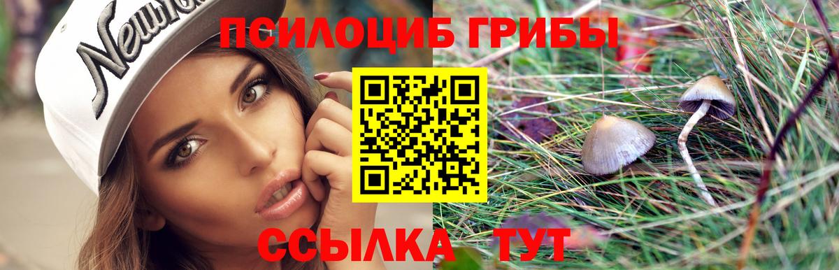 где продают наркотики  Псилоцибиновые грибы прущие грибы  Вход с VPN  Елизово 