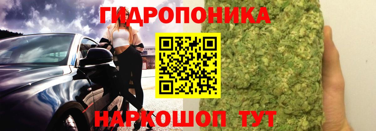 Каннабис THC 21%  Вход с VPN  МАРИХУАНА план  Конопля тримм  Елизово 